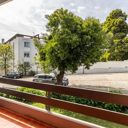 Colmeia Монте-Реал