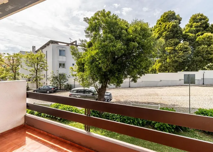 Colmeia Монте-Реал