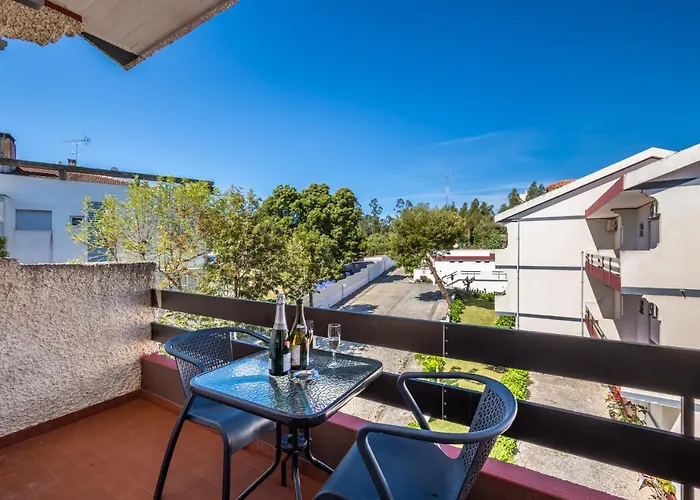 Colmeia Монте-Реал