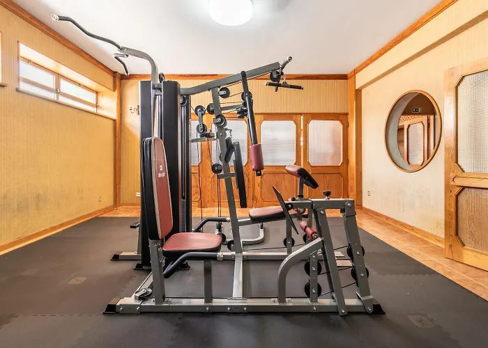 Colmeia Монте-Реал