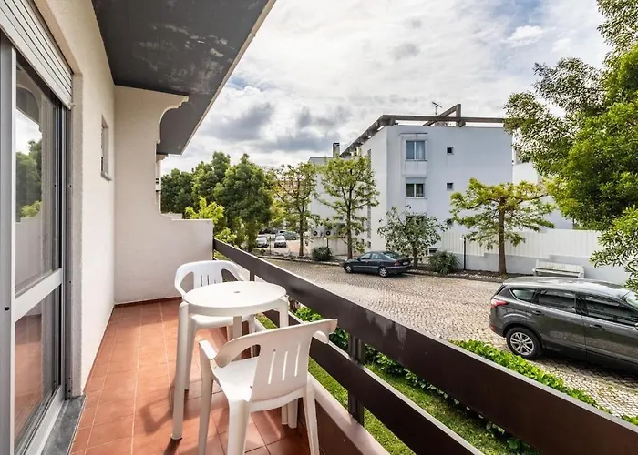 Colmeia Монте-Реал